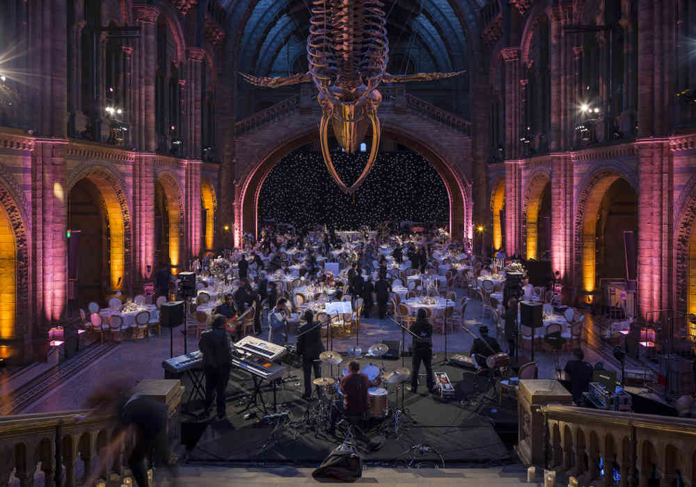 Hintze Hall Natural History Museum 31918900287 O