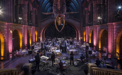 Hintze Hall Natural History Museum 31918900287 O
